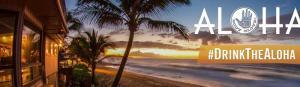 Hawaii Aloha Header