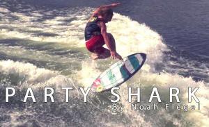 Party Shark - Noah Flegel