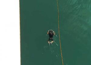 Clement de Premonville best french Wakeskater