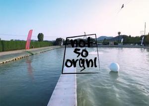 NotSoOriginal Federico Zoccante