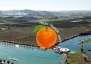 fresh-orange-juice-hip-notics