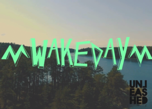 wakeskate-day