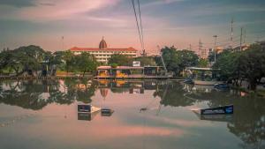 Covid-19-Thailand-unleashed-wake-mag