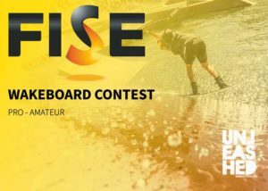 E-fise-qualification