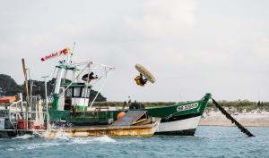 Jules-charreau-bretagne-unleashed-wake